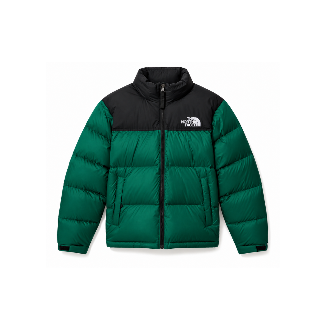 Campera THE NORTH FACE